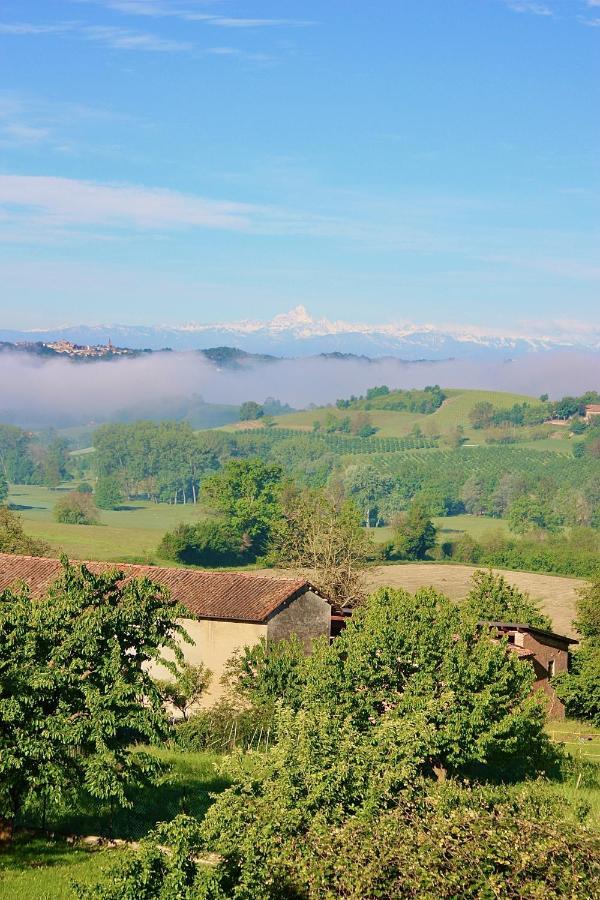 Casapaletti Country House Alfiano Natta Dış mekan fotoğraf