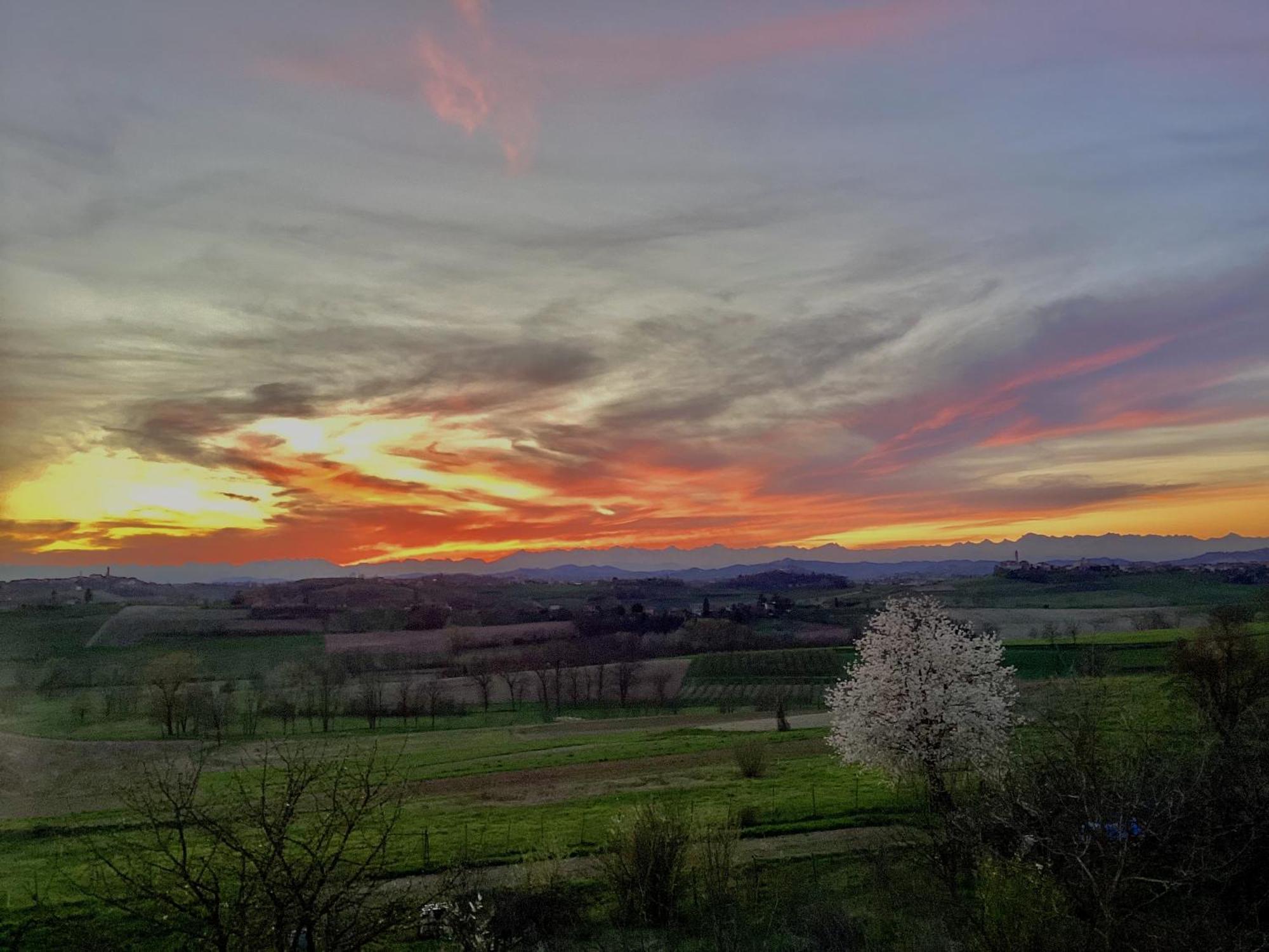 Casapaletti Country House Alfiano Natta Dış mekan fotoğraf
